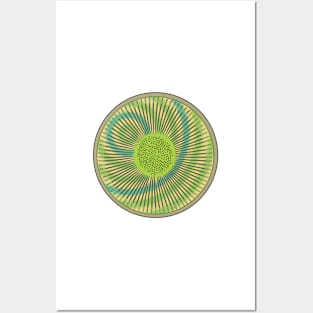 Diatom - Fascinorbis illustris (artwork) Posters and Art